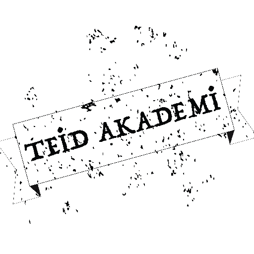 TEİD Akademi